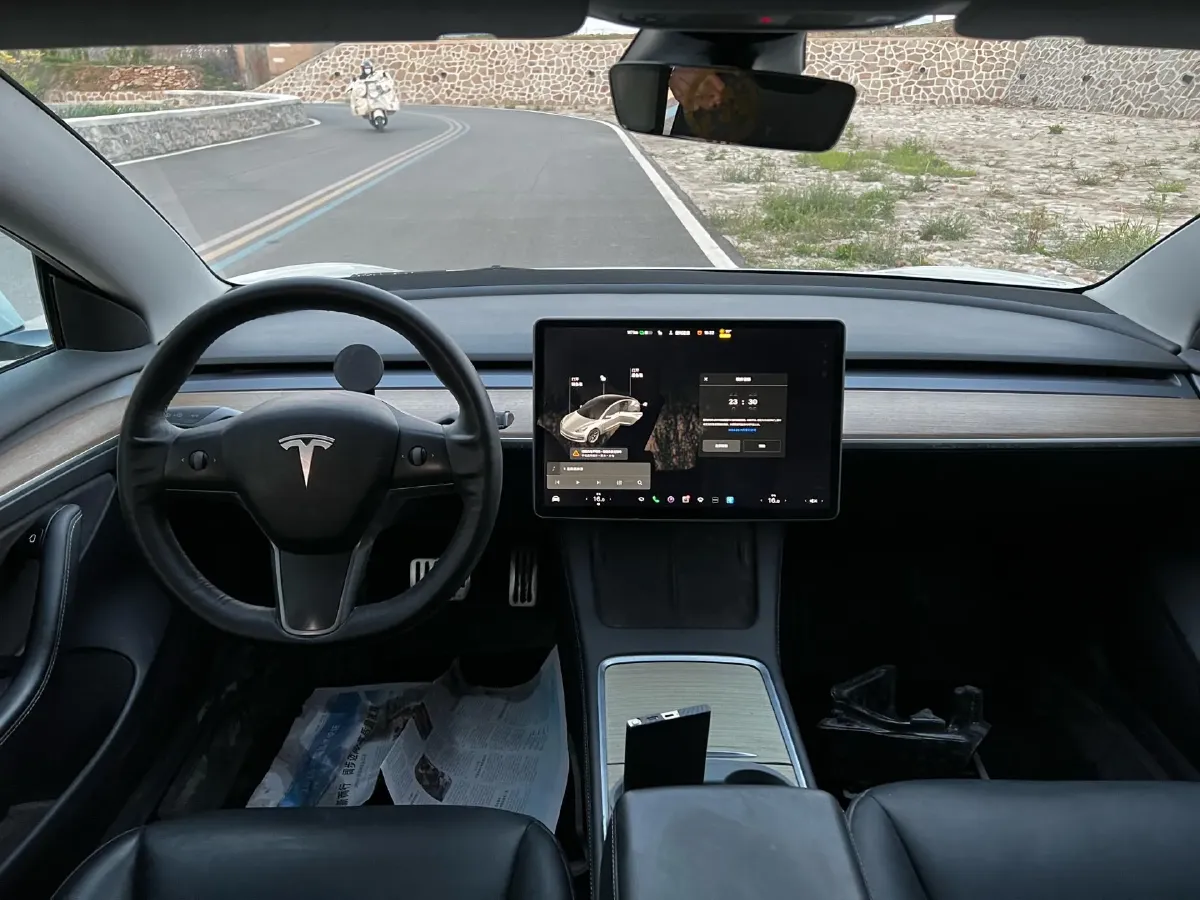 2021 Tesla Model 3 BEV 55KWH,autocango,china used car exporter,china ev exporter,chinese used car exporter,chinese used ev exporter