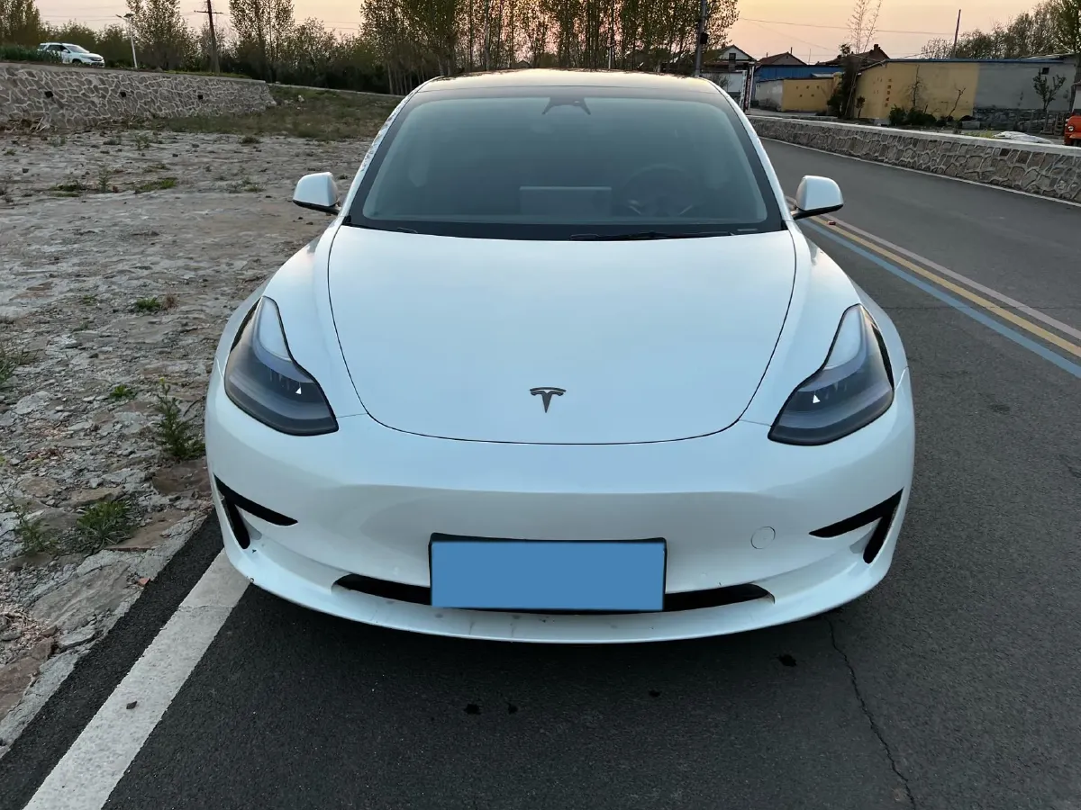 2021 Tesla Model 3 BEV 55KWH,autocango,china used car exporter,china ev exporter,chinese used car exporter,chinese used ev exporter