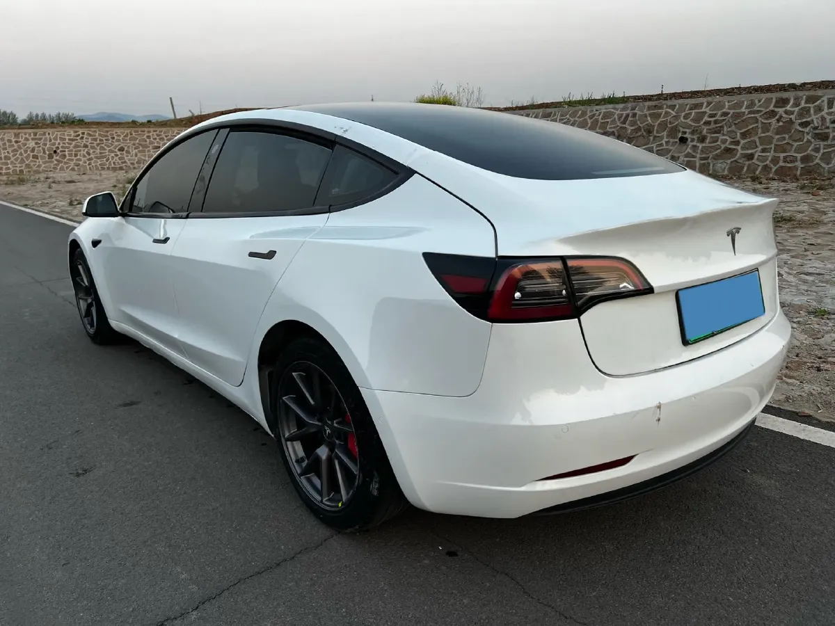 2021 Tesla Model 3 BEV 55KWH,autocango,china used car exporter,china ev exporter,chinese used car exporter,chinese used ev exporter
