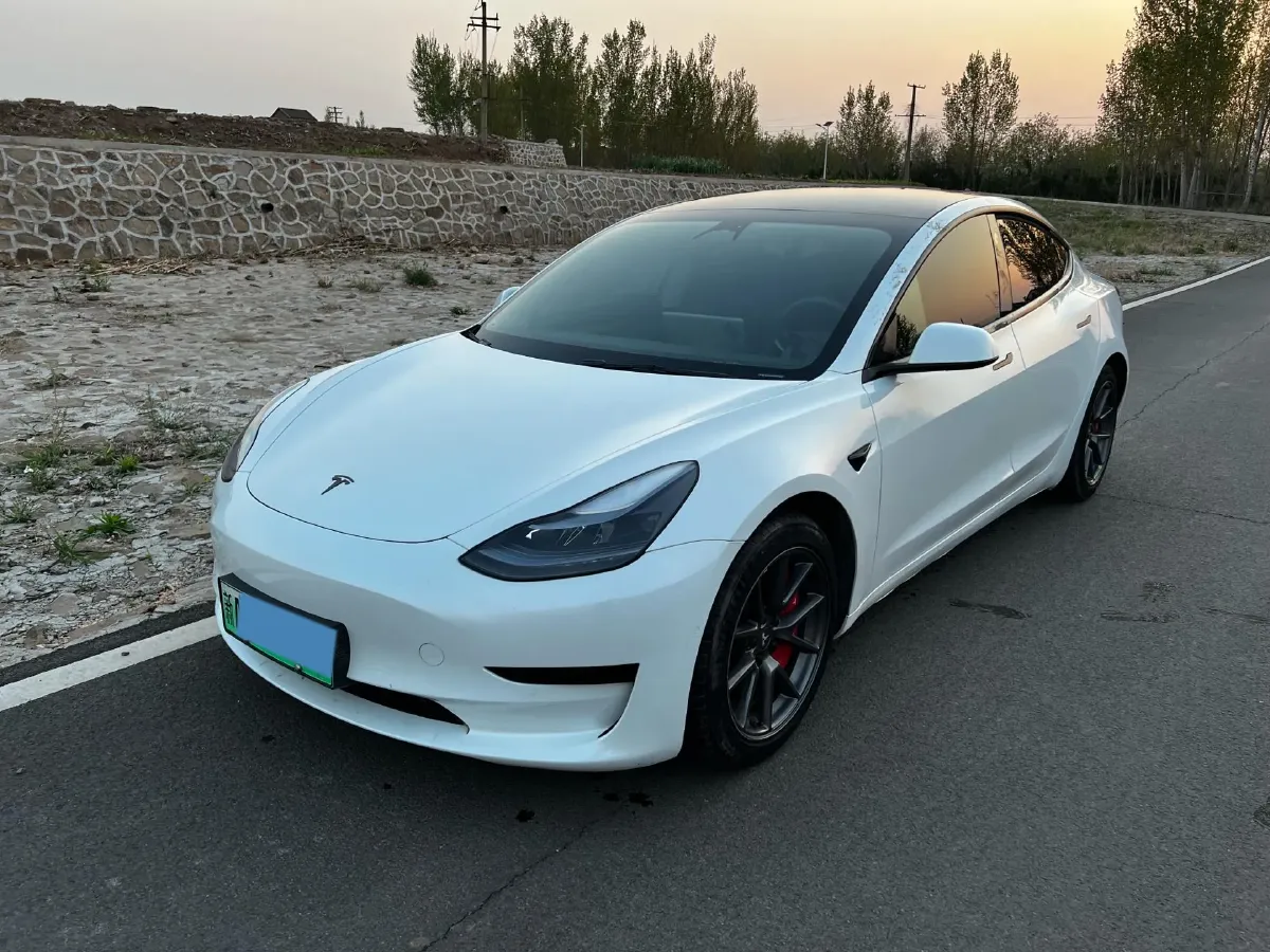2021 Tesla Model 3 BEV 55KWH,autocango,china used car exporter,china ev exporter,chinese used car exporter,chinese used ev exporter