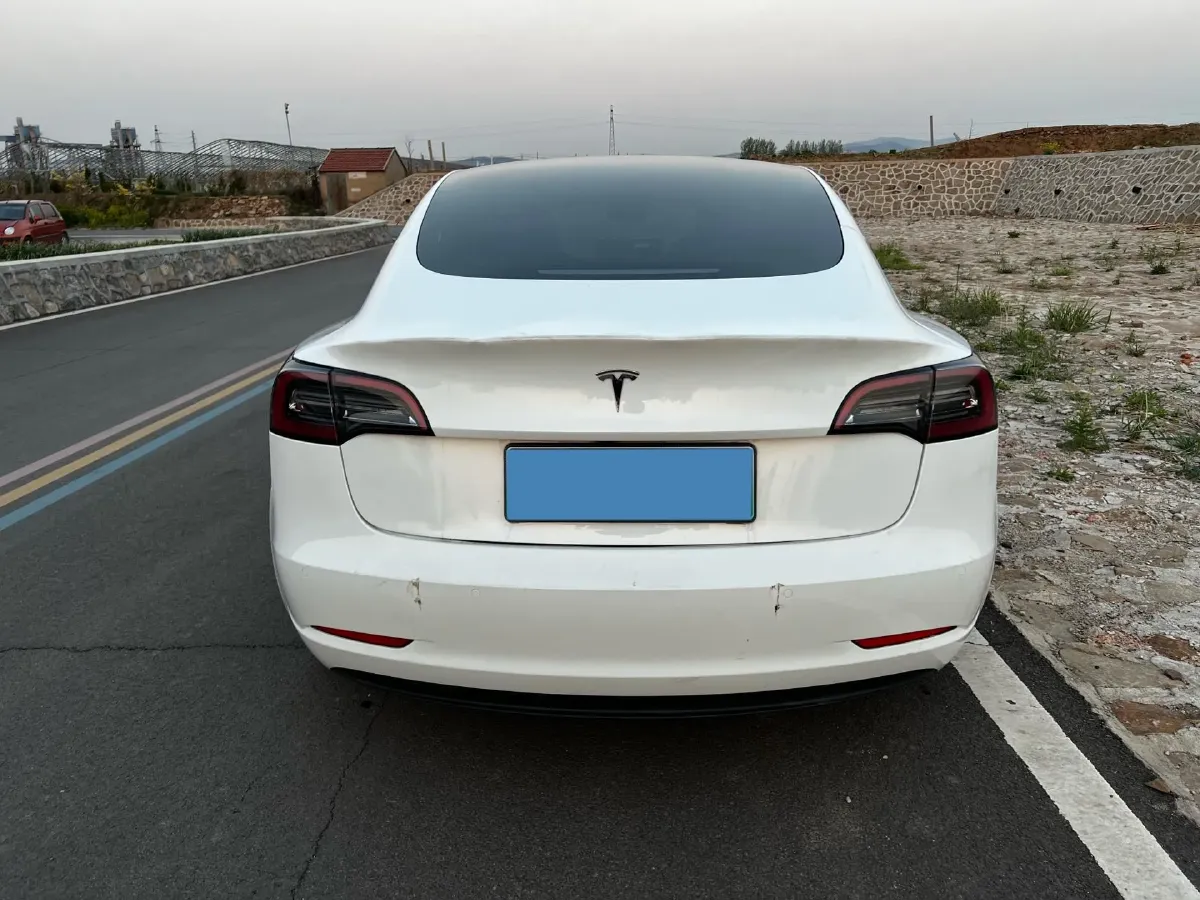2021 Tesla Model 3 BEV 55KWH,autocango,china used car exporter,china ev exporter,chinese used car exporter,chinese used ev exporter