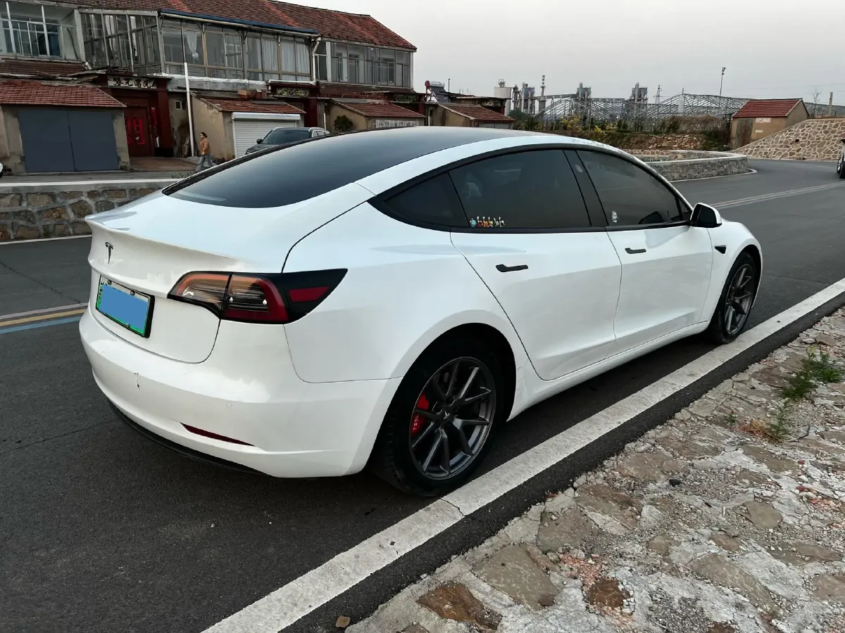 2021 Tesla Model 3 BEV 55KWH,autocango,china used car exporter,china ev exporter,chinese used car exporter,chinese used ev exporter