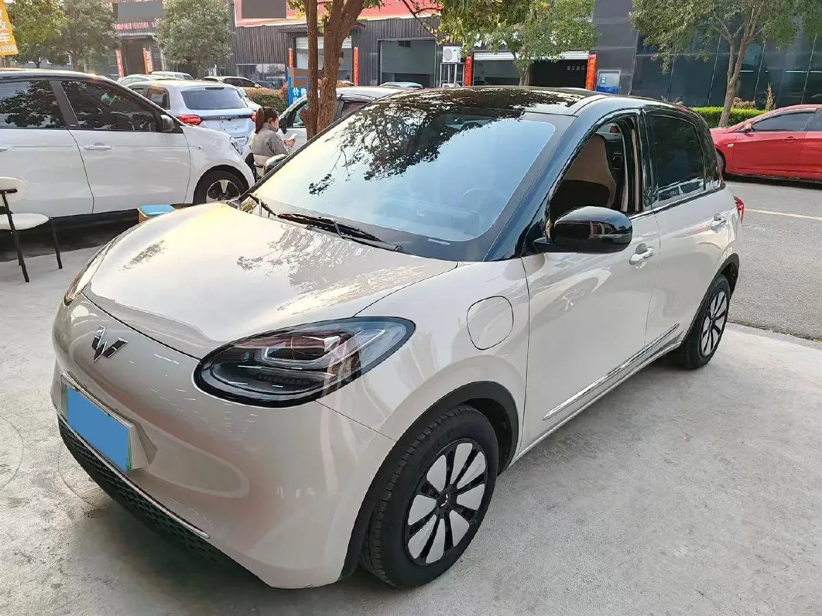 2023 WuLing BinGuo BEV 31.9KWH,autocango,china used car exporter,china ev exporter,chinese used car exporter,chinese used ev exporter