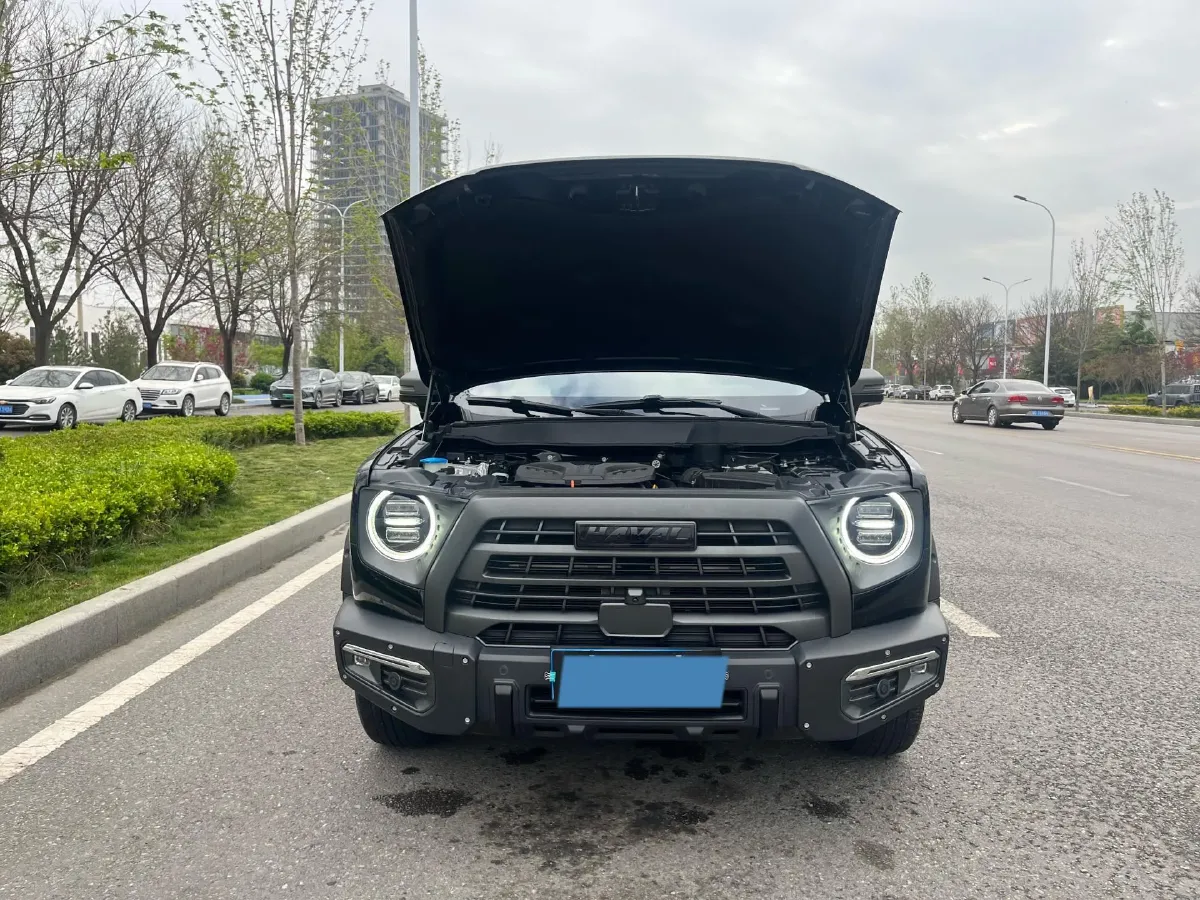 2022 Haval Dargo 2.0T 211HP L4 7DCT,autocango,china used car exporter,china ev exporter,chinese used car exporter,chinese used ev exporter