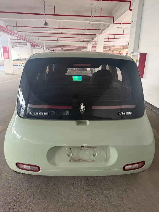 2020 Ora WhiteCat BEV 29.4KWH,autocango,china used car exporter,china ev exporter,chinese used car exporter,chinese used ev exporter