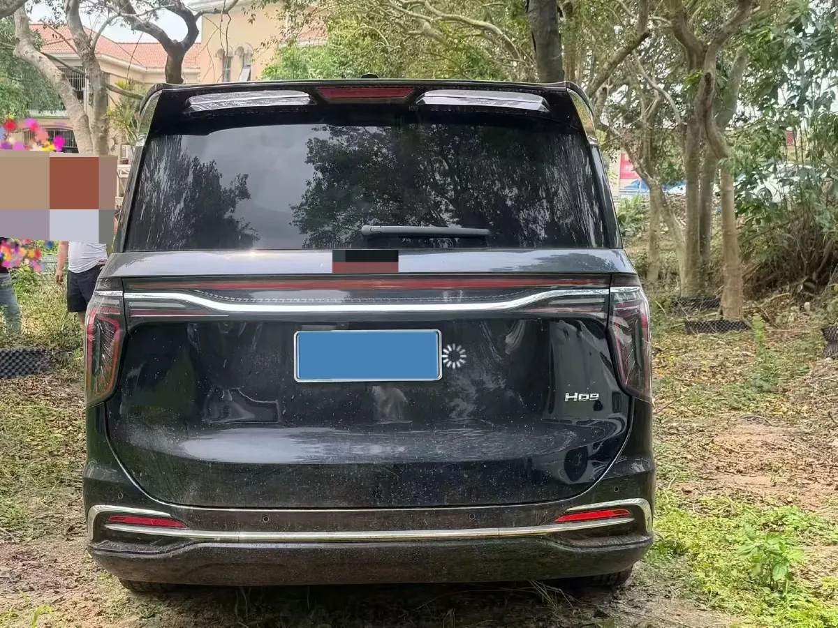 2023 HongQi HQ9 2.0T 252HP L4 8AT,autocango,china used car exporter,china ev exporter,chinese used car exporter,chinese used ev exporter