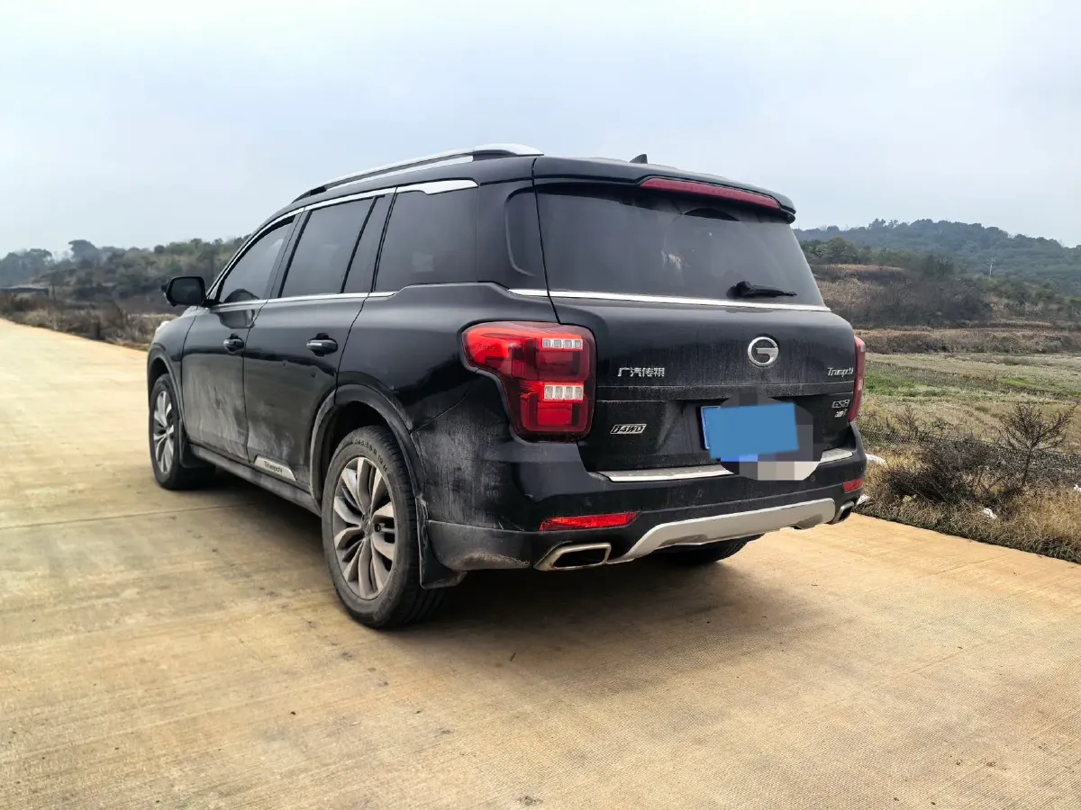 2017 GAC Trumpchi GS8 2.0T 201HP L4 6AT,autocango,china used car exporter,china ev exporter,chinese used car exporter,chinese used ev exporter