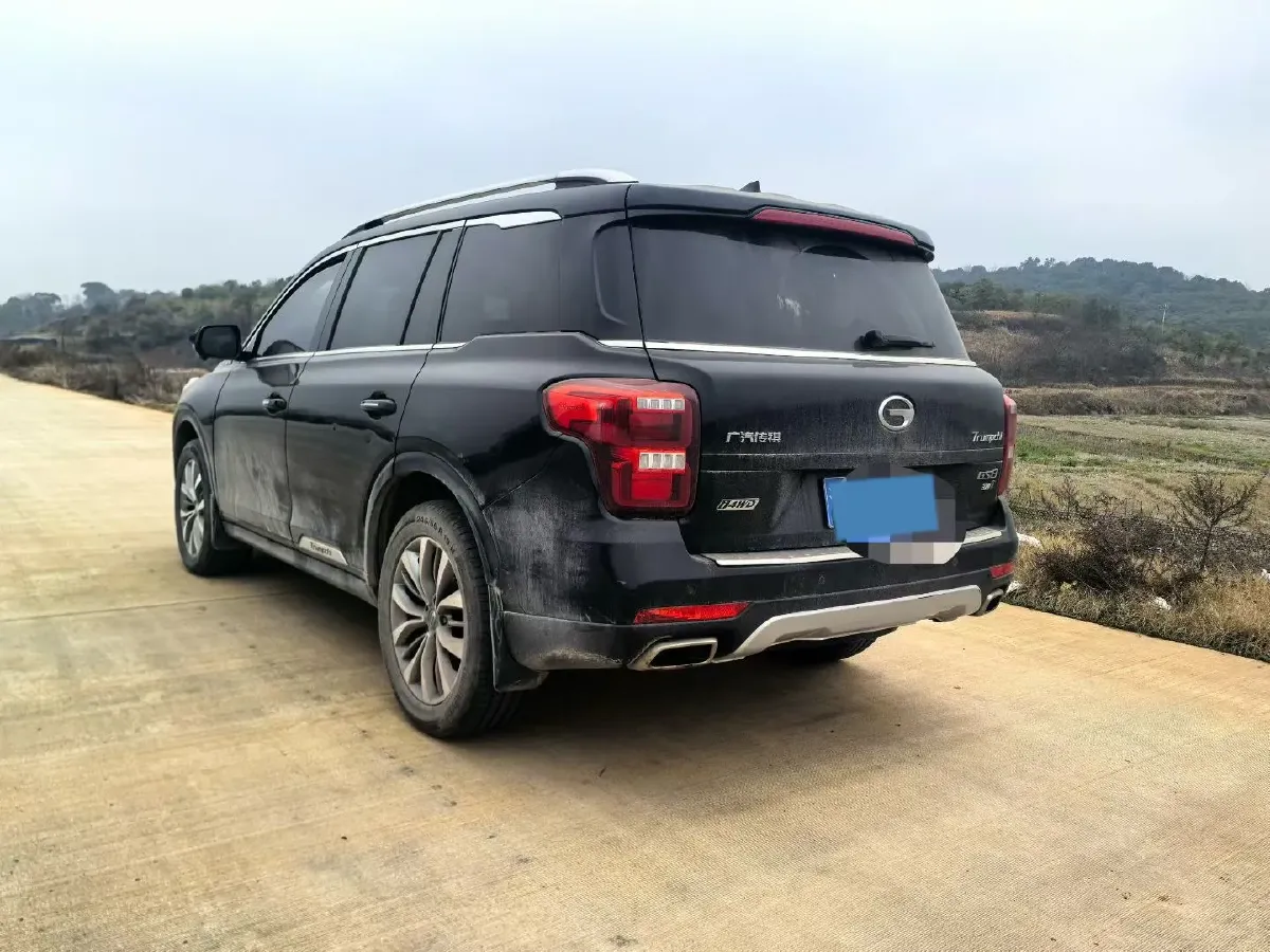 2017 GAC Trumpchi GS8 2.0T 201HP L4 6AT,autocango,china used car exporter,china ev exporter,chinese used car exporter,chinese used ev exporter