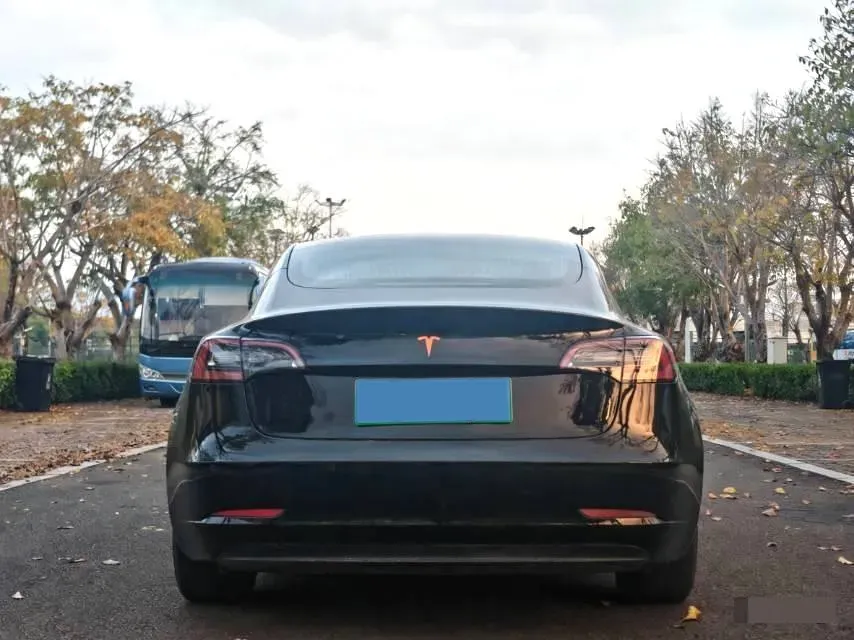 2019 Tesla Model 3 BEV 81KWH,autocango,china used car exporter,china ev exporter,chinese used car exporter,chinese used ev exporter