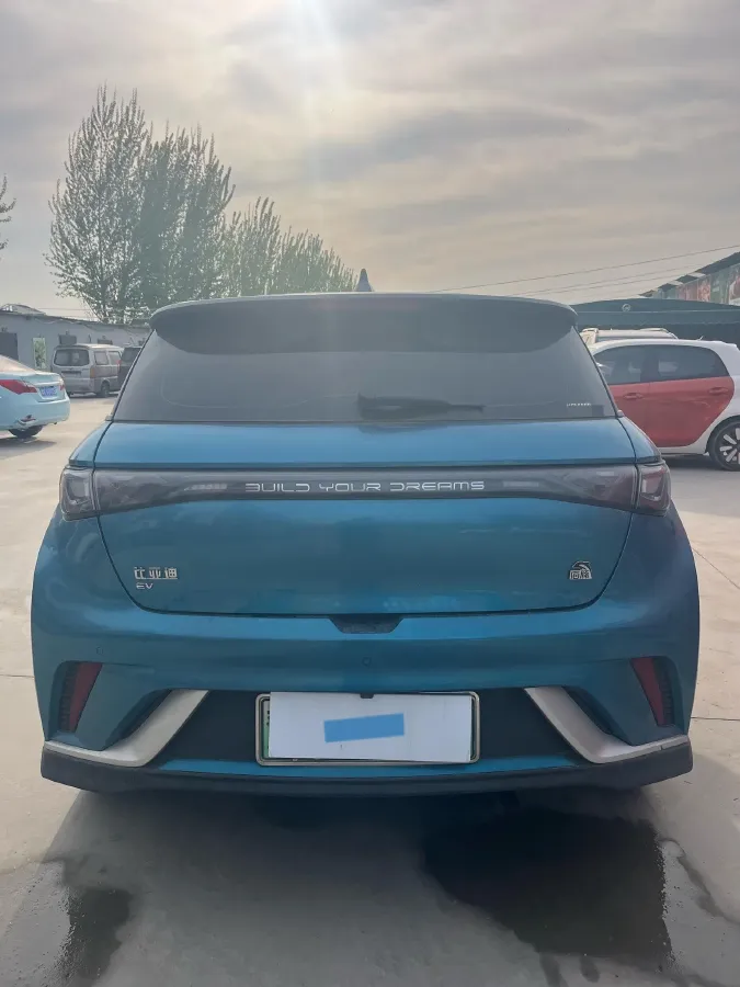2023 BYD Dolphin BEV 44.928KWH,autocango,china used car exporter,china ev exporter,chinese used car exporter,chinese used ev exporter