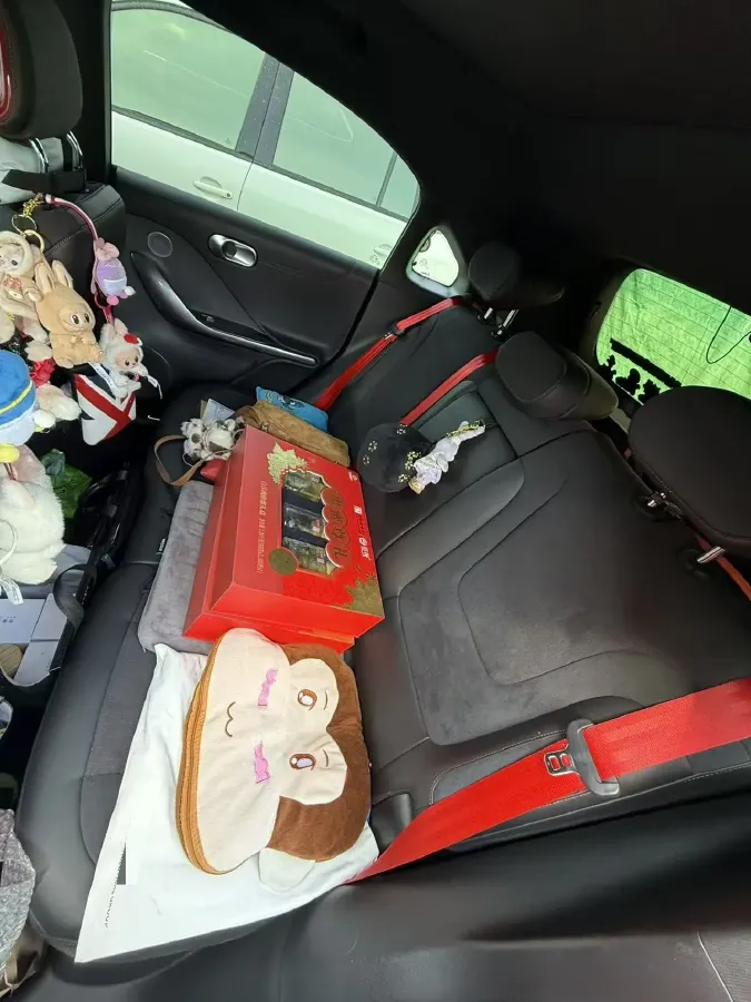 2022 Smart smart Elf 1 BEV 66KWH,autocango,china used car exporter,china ev exporter,chinese used car exporter,chinese used ev exporter