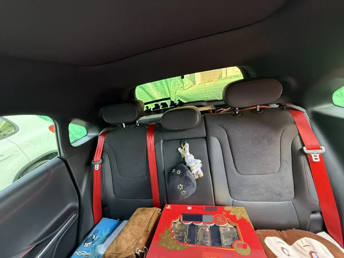 2022 Smart smart Elf 1 BEV 66KWH,autocango,china used car exporter,china ev exporter,chinese used car exporter,chinese used ev exporter