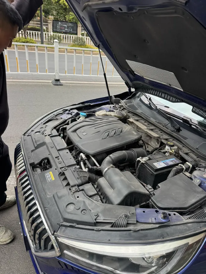 2020 HongQi H5 1.5T 169HP L4 7DCT,autocango,china used car exporter,china ev exporter,chinese used car exporter,chinese used ev exporter