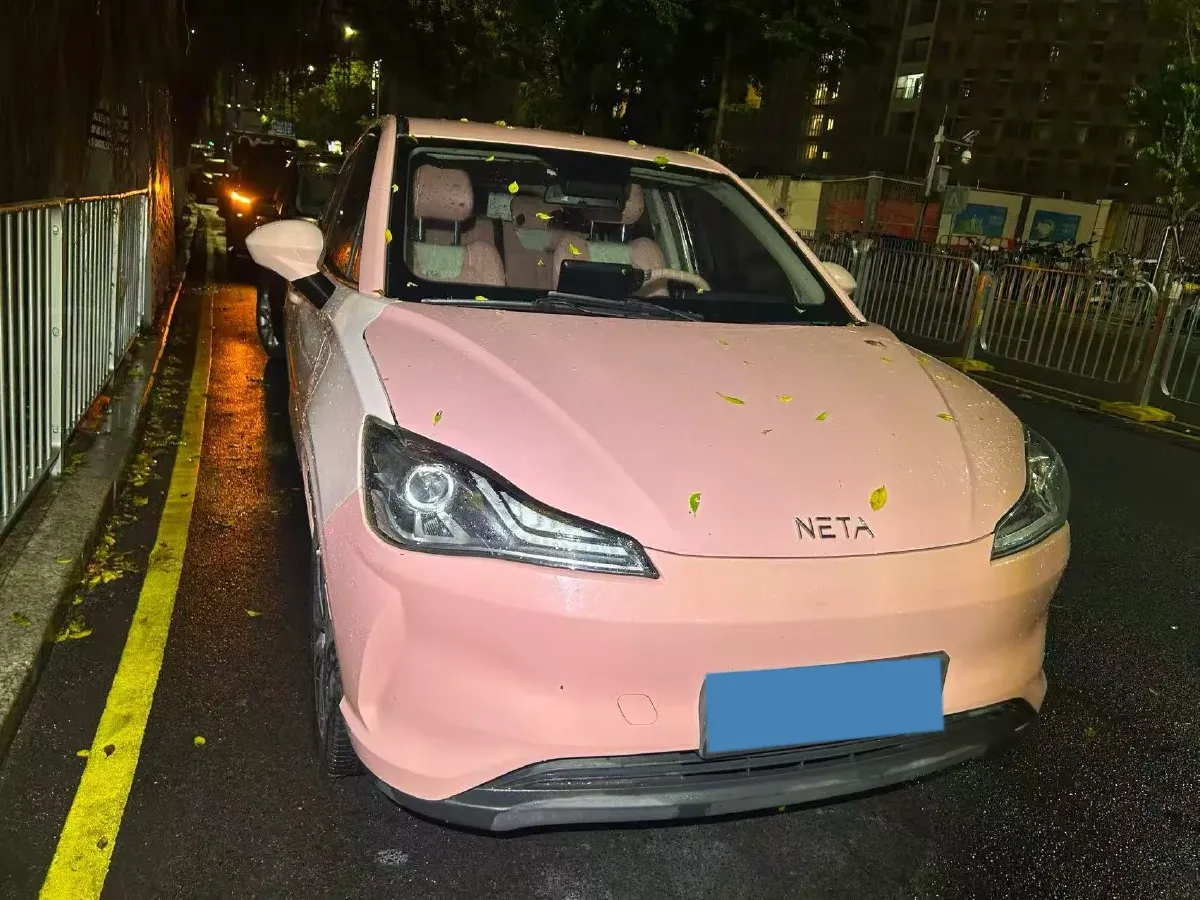 2021 Neta V BEV 38.54KWH,autocango,china used car exporter,china ev exporter,chinese used car exporter,chinese used ev exporter