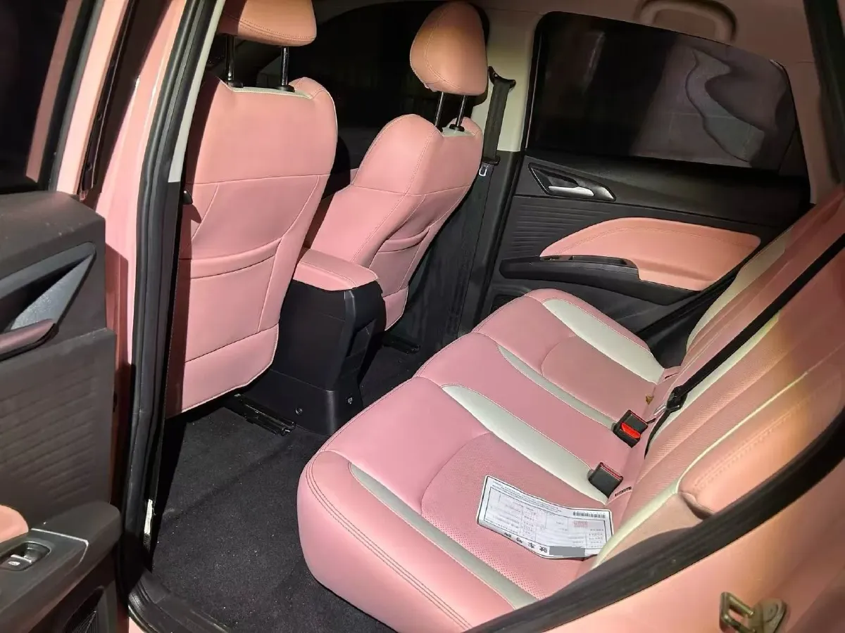 2021 Neta V BEV 38.54KWH,autocango,china used car exporter,china ev exporter,chinese used car exporter,chinese used ev exporter