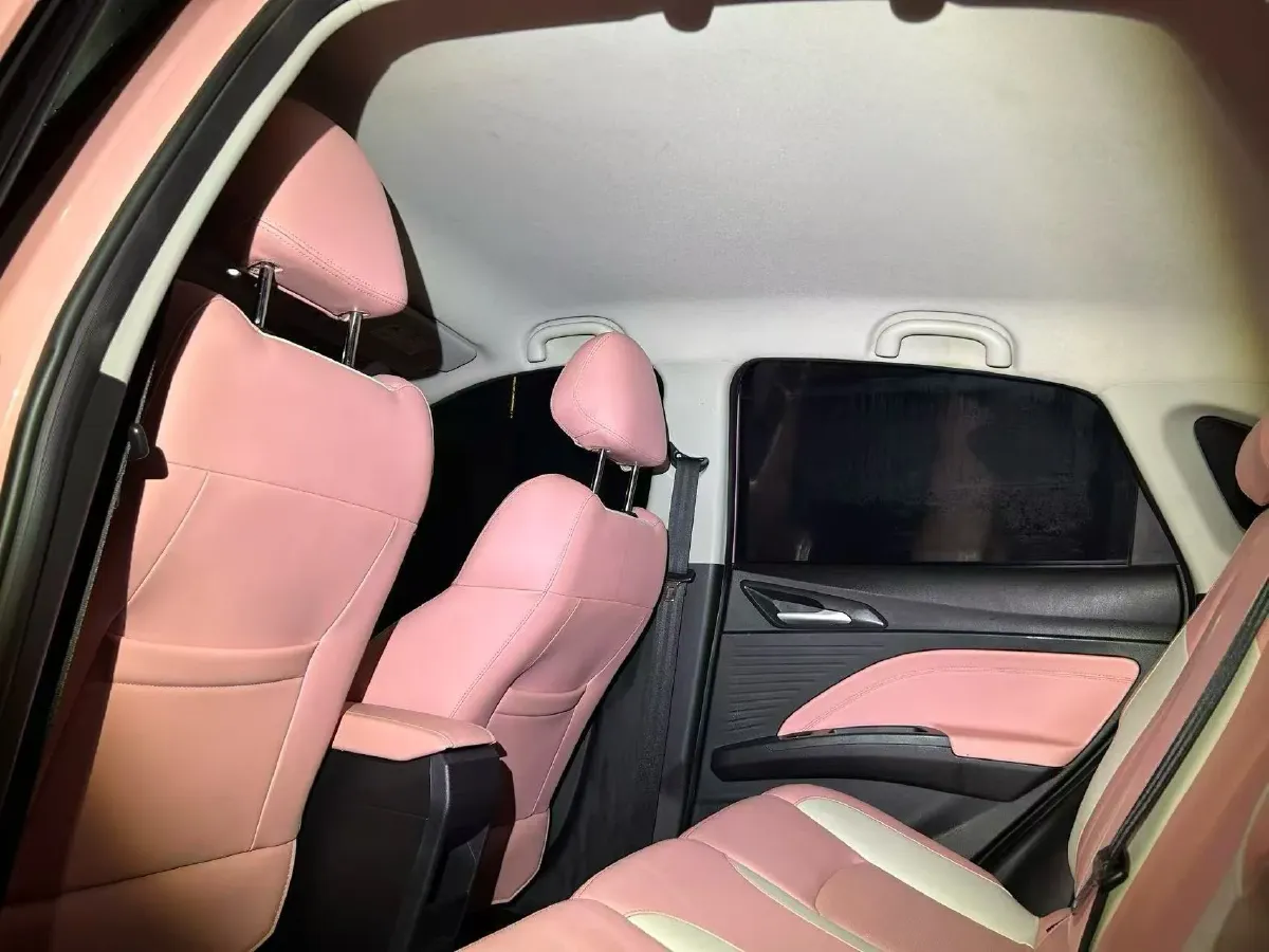 2021 Neta V BEV 38.54KWH,autocango,china used car exporter,china ev exporter,chinese used car exporter,chinese used ev exporter