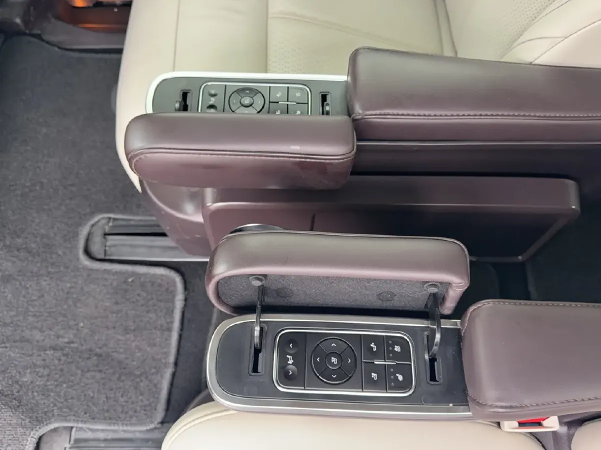 2021 GAC Trumpchi M8 2.0T 252HP L4 8AT,autocango,china used car exporter,china ev exporter,chinese used car exporter,chinese used ev exporter