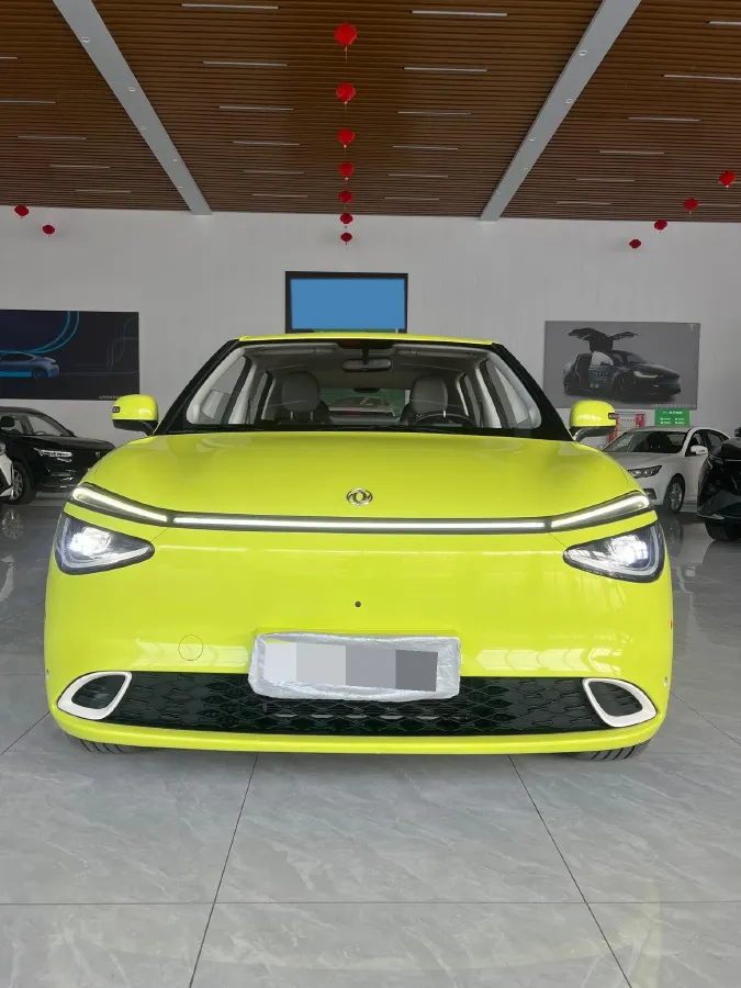 2024 DongFeng Nammi 01 BEV 42.3KWH,autocango,china used car exporter,china ev exporter,chinese used car exporter,chinese used ev exporter