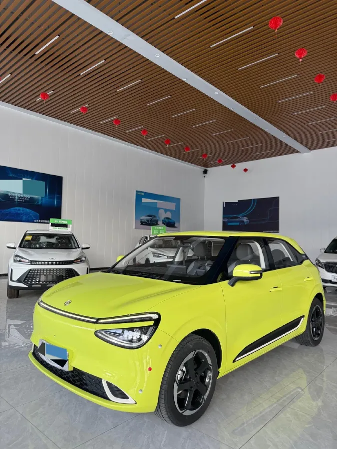 2024 DongFeng Nammi 01 BEV 42.3KWH,autocango,china used car exporter,china ev exporter,chinese used car exporter,chinese used ev exporter