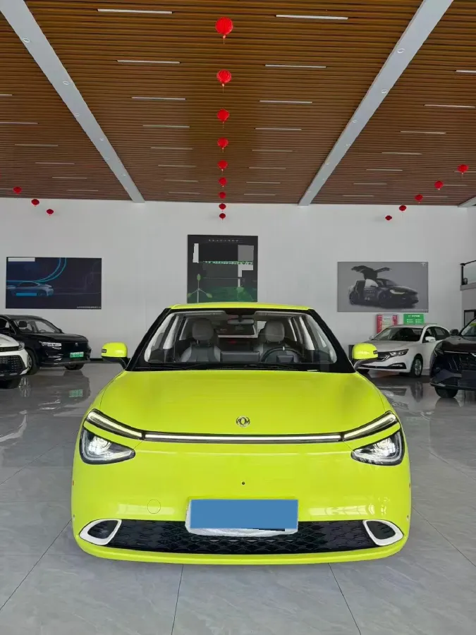 2024 DongFeng Nammi 01 BEV 42.3KWH,autocango,china used car exporter,china ev exporter,chinese used car exporter,chinese used ev exporter