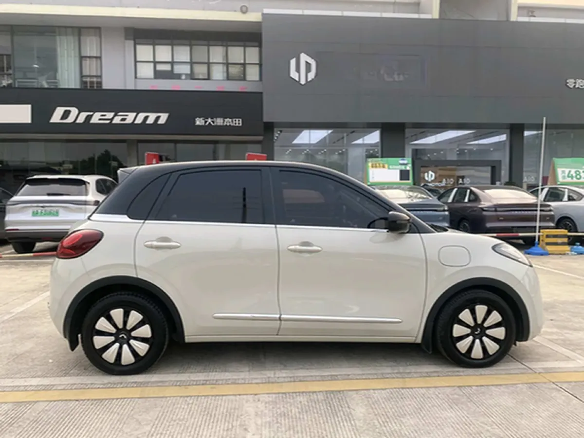 2023 WuLing BinGuo BEV 31.9KWH,autocango,china used car exporter,china ev exporter,chinese used car exporter,chinese used ev exporter