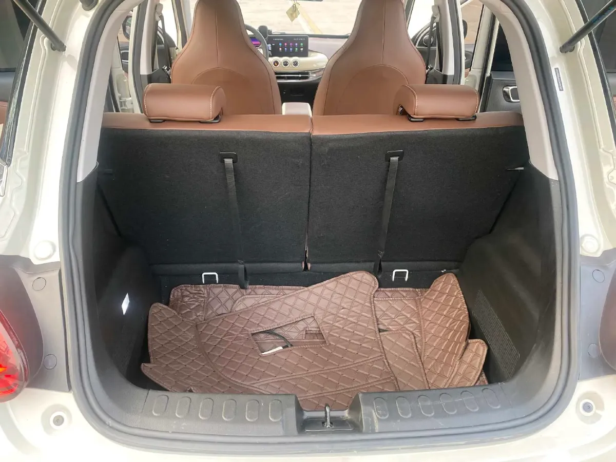 2023 WuLing BinGuo BEV 31.9KWH,autocango,china used car exporter,china ev exporter,chinese used car exporter,chinese used ev exporter