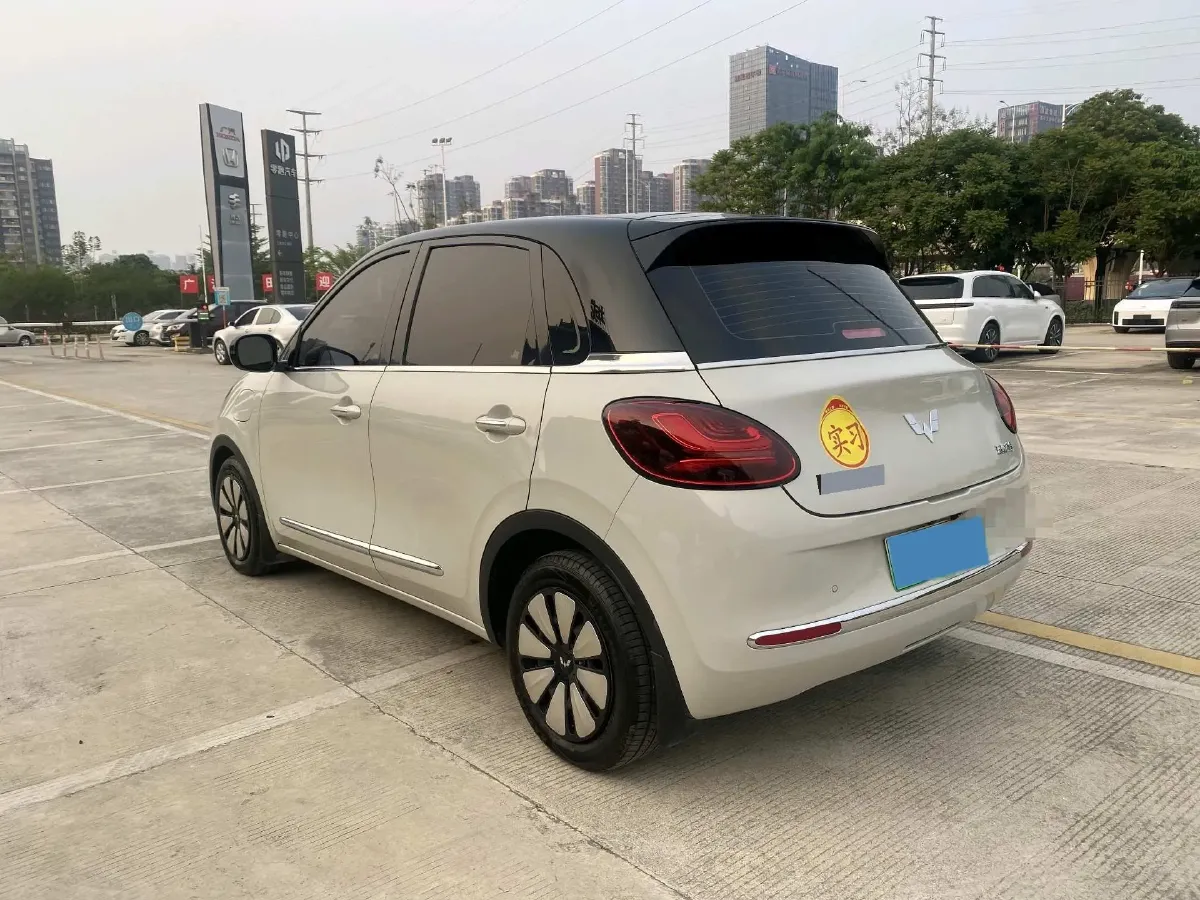 2023 WuLing BinGuo BEV 31.9KWH,autocango,china used car exporter,china ev exporter,chinese used car exporter,chinese used ev exporter