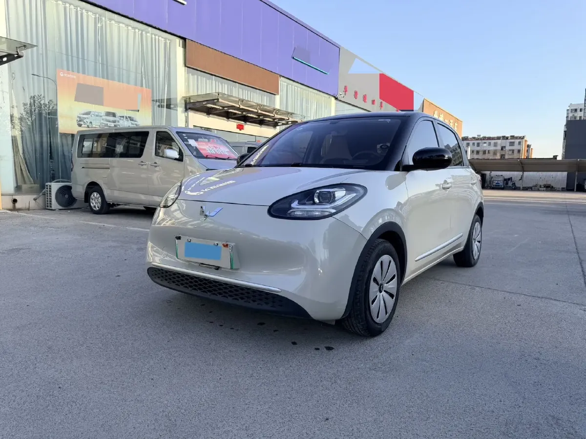 2023 WuLing BinGuo BEV 17.3KWH,autocango,china used car exporter,china ev exporter,chinese used car exporter,chinese used ev exporter