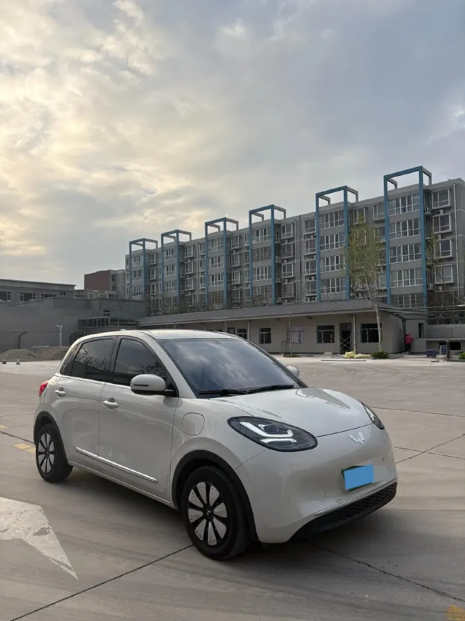 2024 WuLing BinGuo BEV 31.9KWH,autocango,china used car exporter,china ev exporter,chinese used car exporter,chinese used ev exporter