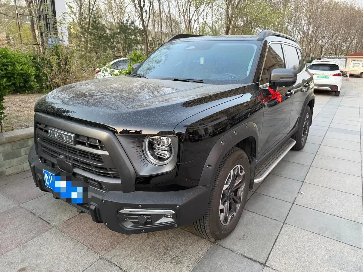 2024 Haval Dargo 2.0T 238HP L4 9DCT,autocango,china used car exporter,china ev exporter,chinese used car exporter,chinese used ev exporter
