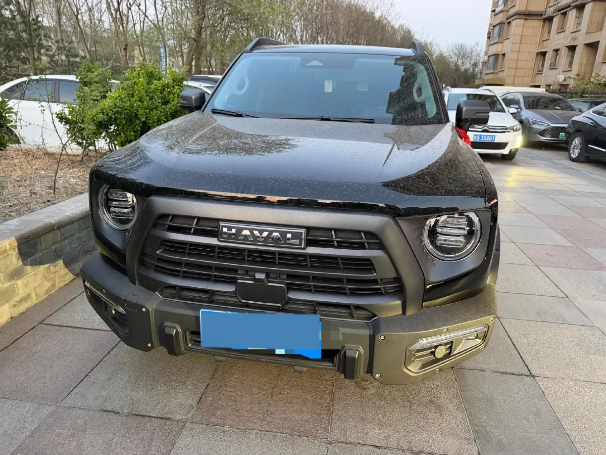 2024 Haval Dargo 2.0T 238HP L4 9DCT,autocango,china used car exporter,china ev exporter,chinese used car exporter,chinese used ev exporter