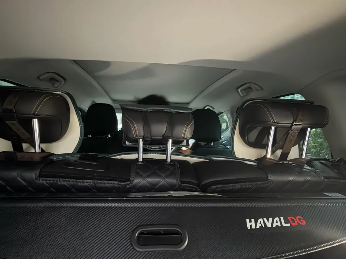 2024 Haval Dargo 2.0T 238HP L4 9DCT,autocango,china used car exporter,china ev exporter,chinese used car exporter,chinese used ev exporter