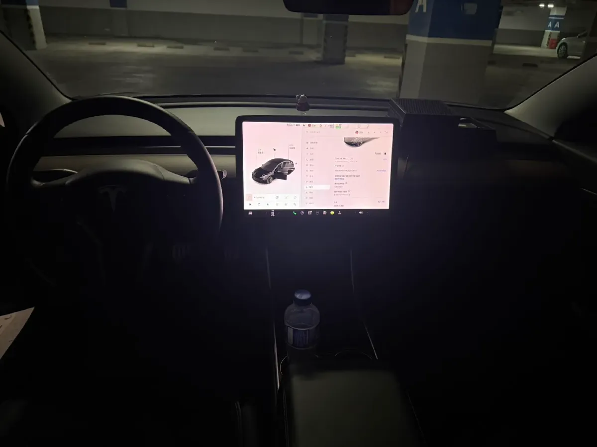 2020 Tesla Model 3 BEV 52KWH,autocango,china used car exporter,china ev exporter,chinese used car exporter,chinese used ev exporter