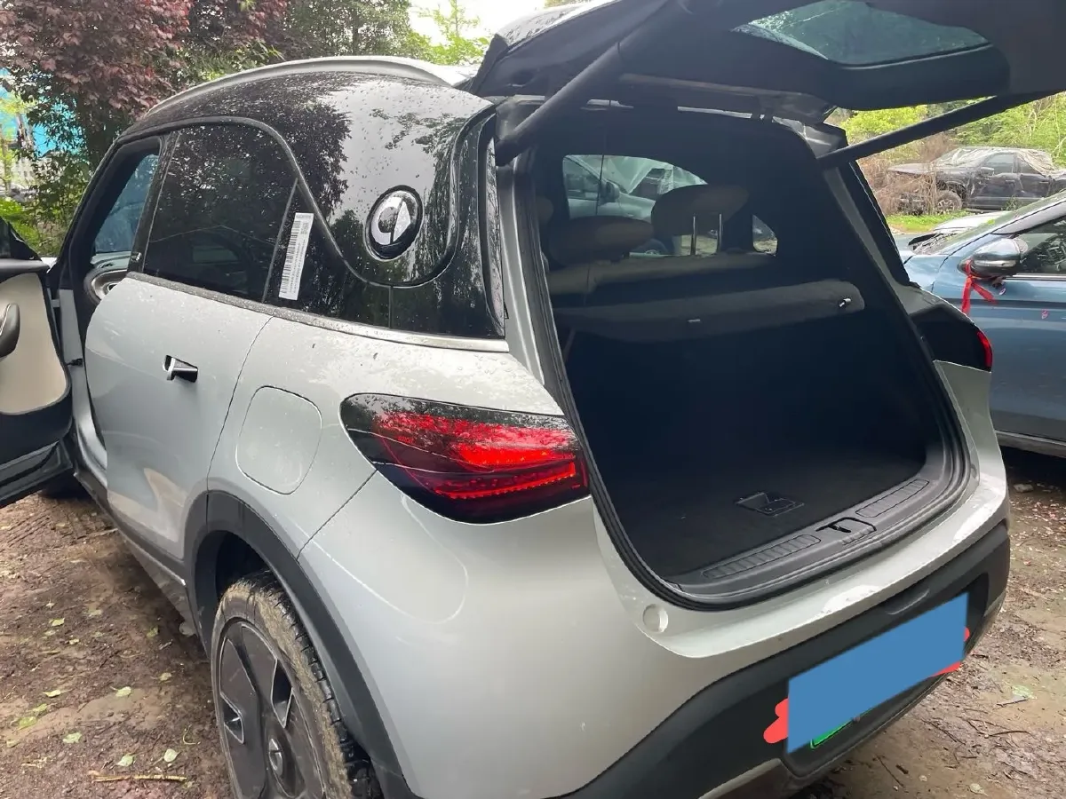 2024 Smart smart Elf 1 BEV 66KWH,autocango,china used car exporter,china ev exporter,chinese used car exporter,chinese used ev exporter