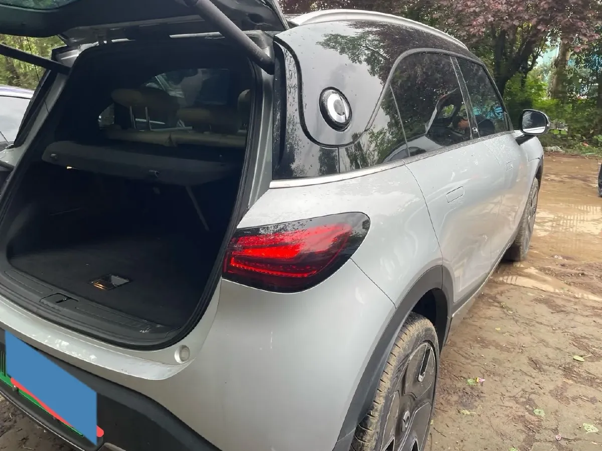 2024 Smart smart Elf 1 BEV 66KWH,autocango,china used car exporter,china ev exporter,chinese used car exporter,chinese used ev exporter