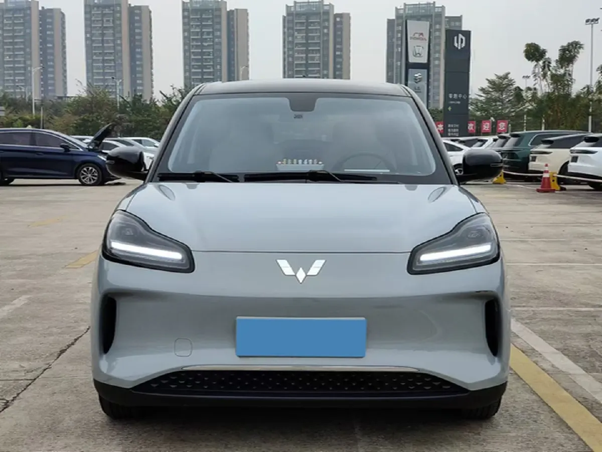 2024 WuLing BinGuoPLUS BEV 50.6KWH,autocango,china used car exporter,china ev exporter,chinese used car exporter,chinese used ev exporter