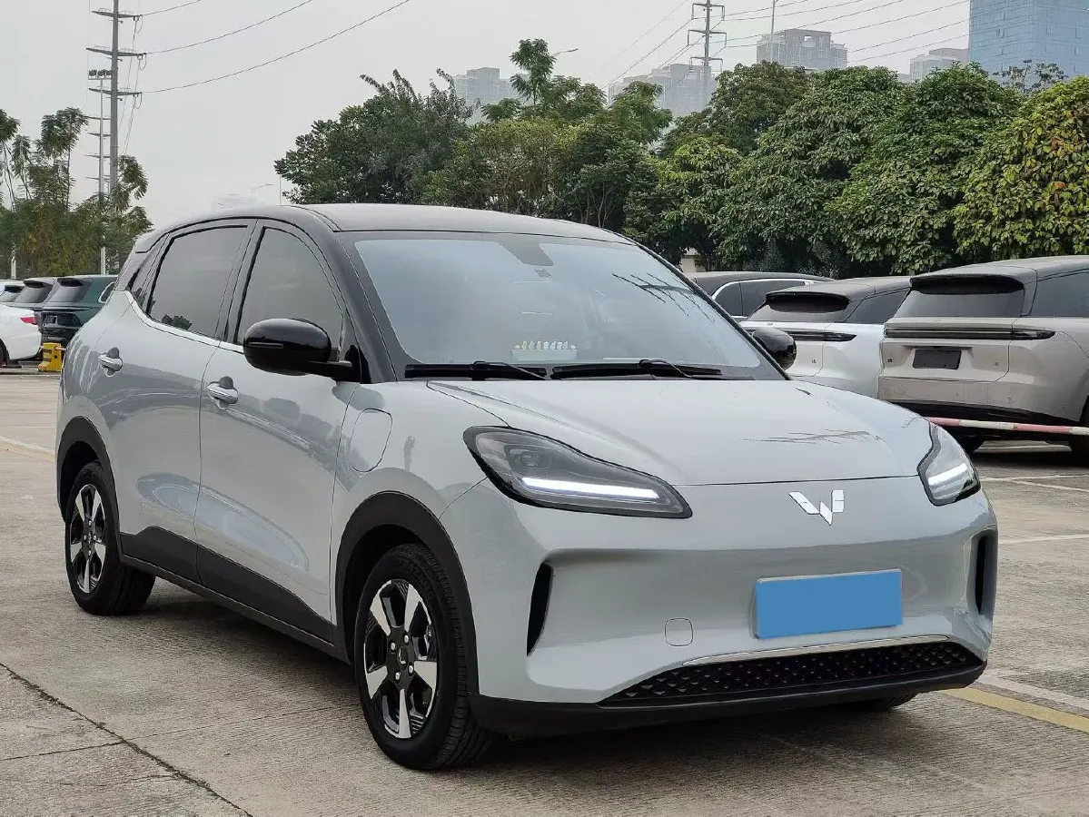 2024 WuLing BinGuoPLUS BEV 50.6KWH,autocango,china used car exporter,china ev exporter,chinese used car exporter,chinese used ev exporter