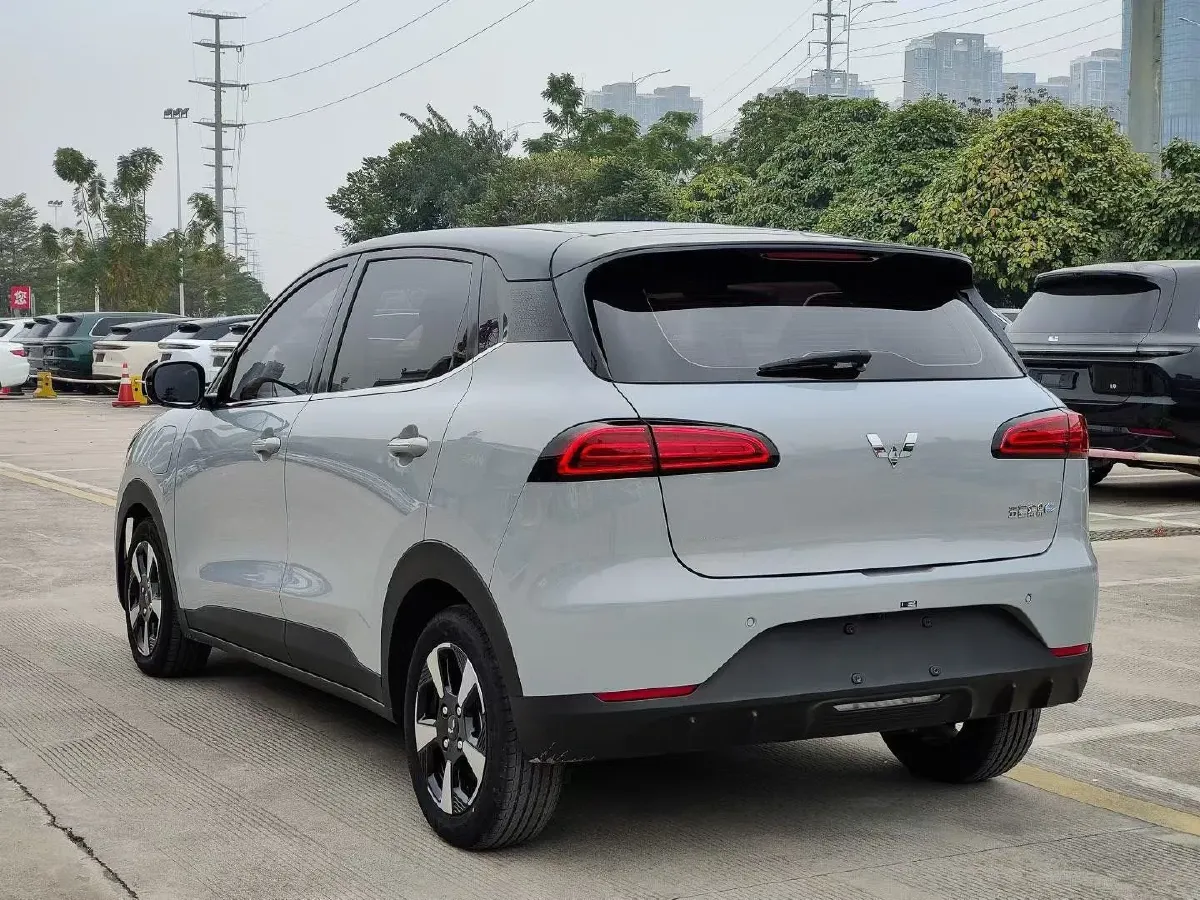 2024 WuLing BinGuoPLUS BEV 50.6KWH,autocango,china used car exporter,china ev exporter,chinese used car exporter,chinese used ev exporter