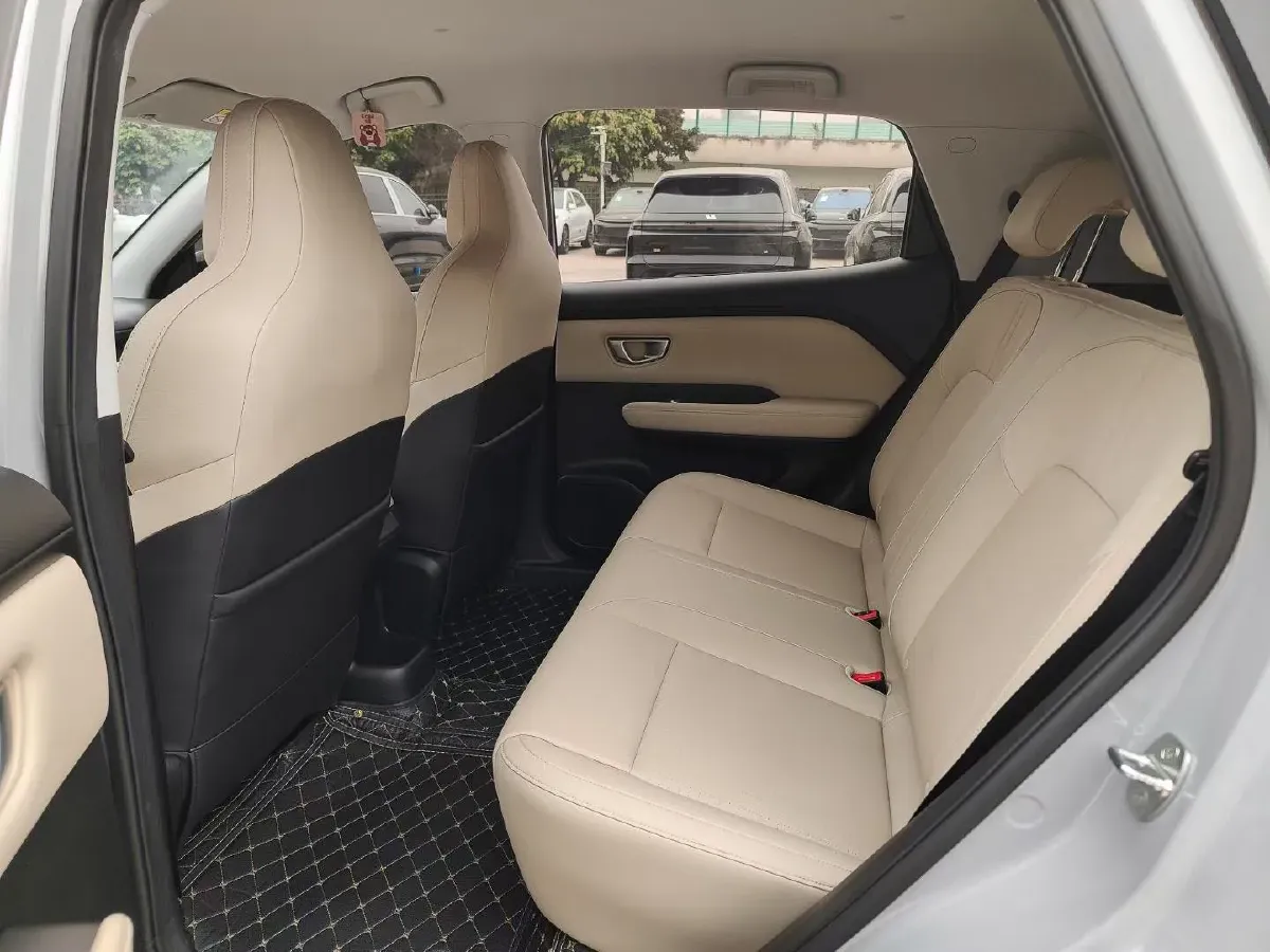 2024 WuLing BinGuoPLUS BEV 50.6KWH,autocango,china used car exporter,china ev exporter,chinese used car exporter,chinese used ev exporter