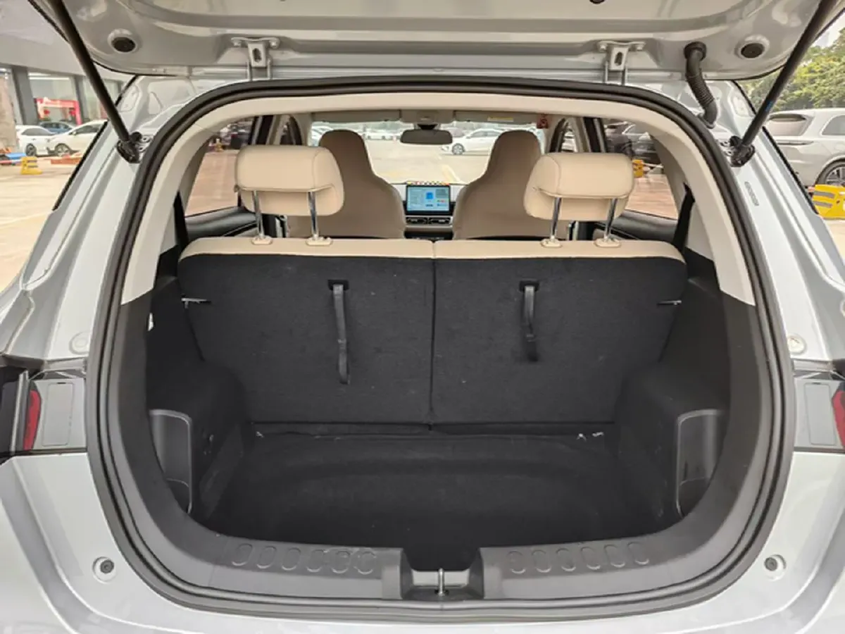 2024 WuLing BinGuoPLUS BEV 50.6KWH,autocango,china used car exporter,china ev exporter,chinese used car exporter,chinese used ev exporter