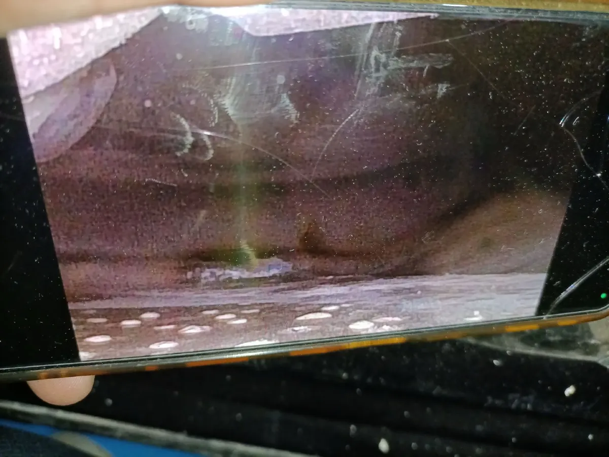 2021 Mercedes-Benz E Class 2.0T 258HP L4 9AT,autocango,china used car exporter,china ev exporter,chinese used car exporter,chinese used ev exporter