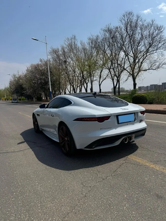 2016 Jaguar F-TYPE 3.0T 381HP V6 8AT,autocango,china used car exporter,china ev exporter,chinese used car exporter,chinese used ev exporter