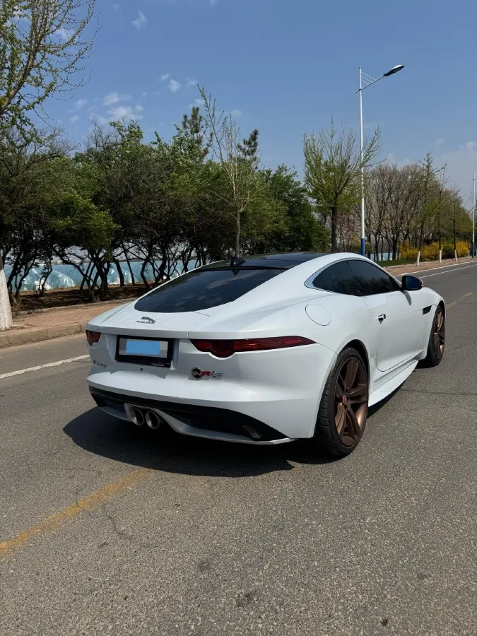 2016 Jaguar F-TYPE 3.0T 381HP V6 8AT,autocango,china used car exporter,china ev exporter,chinese used car exporter,chinese used ev exporter