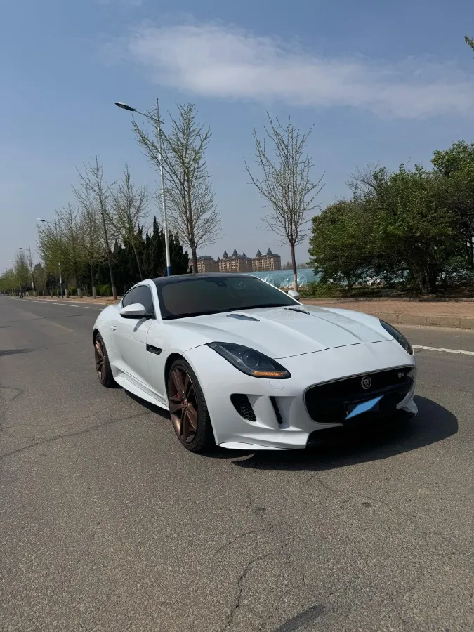 2016 Jaguar F-TYPE 3.0T 381HP V6 8AT,autocango,china used car exporter,china ev exporter,chinese used car exporter,chinese used ev exporter