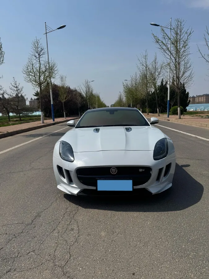 2016 Jaguar F-TYPE 3.0T 381HP V6 8AT,autocango,china used car exporter,china ev exporter,chinese used car exporter,chinese used ev exporter