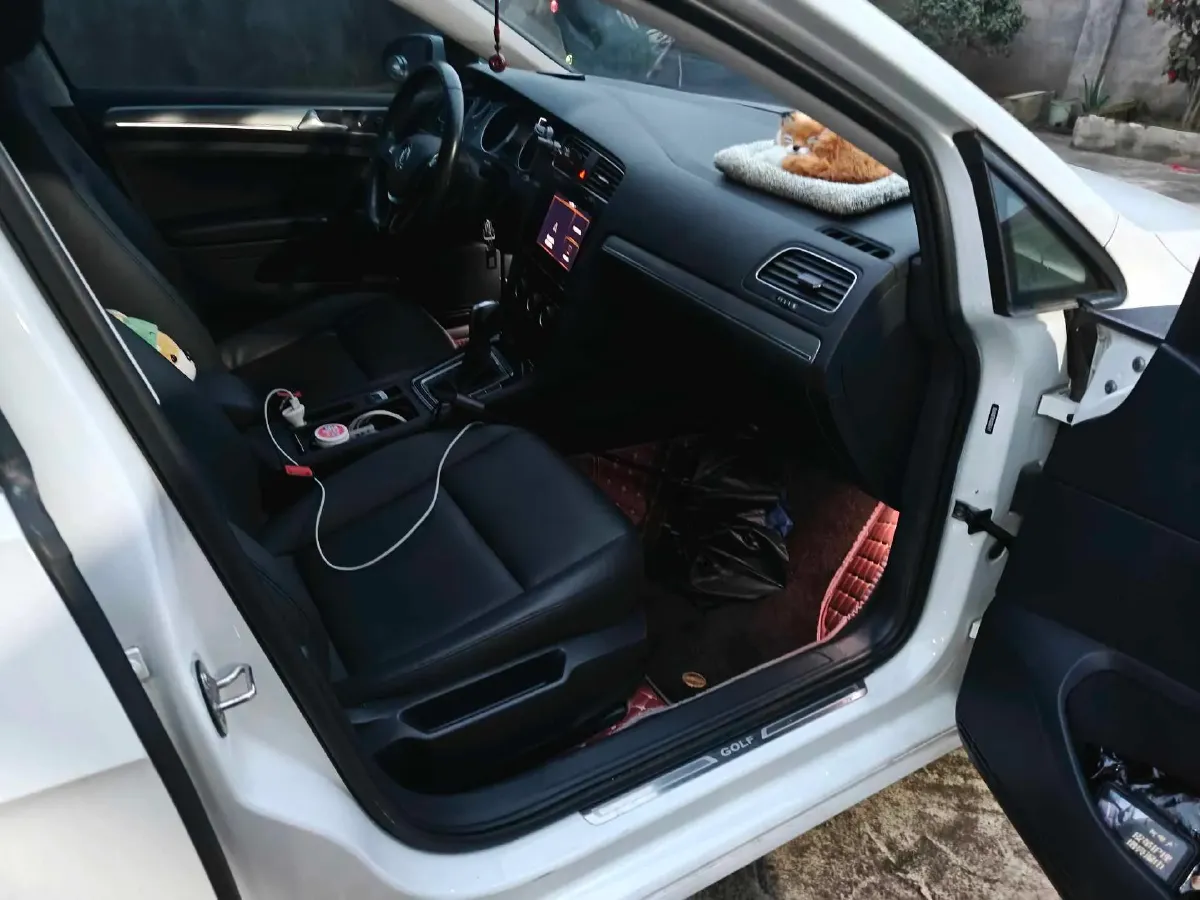 2020 Volkswagen Golf 1.2T 116HP L4 7DCT,autocango,china used car exporter,china ev exporter,chinese used car exporter,chinese used ev exporter