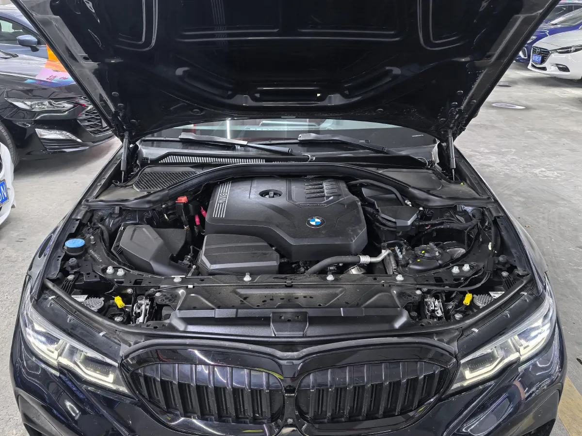 2021 BMW 3 Series 2.0T 184HP L4 8AT,autocango,china used car exporter,china ev exporter,chinese used car exporter,chinese used ev exporter