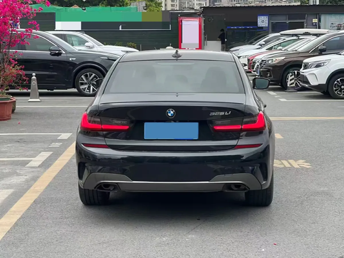 2021 BMW 3 Series 2.0T 184HP L4 8AT,autocango,china used car exporter,china ev exporter,chinese used car exporter,chinese used ev exporter