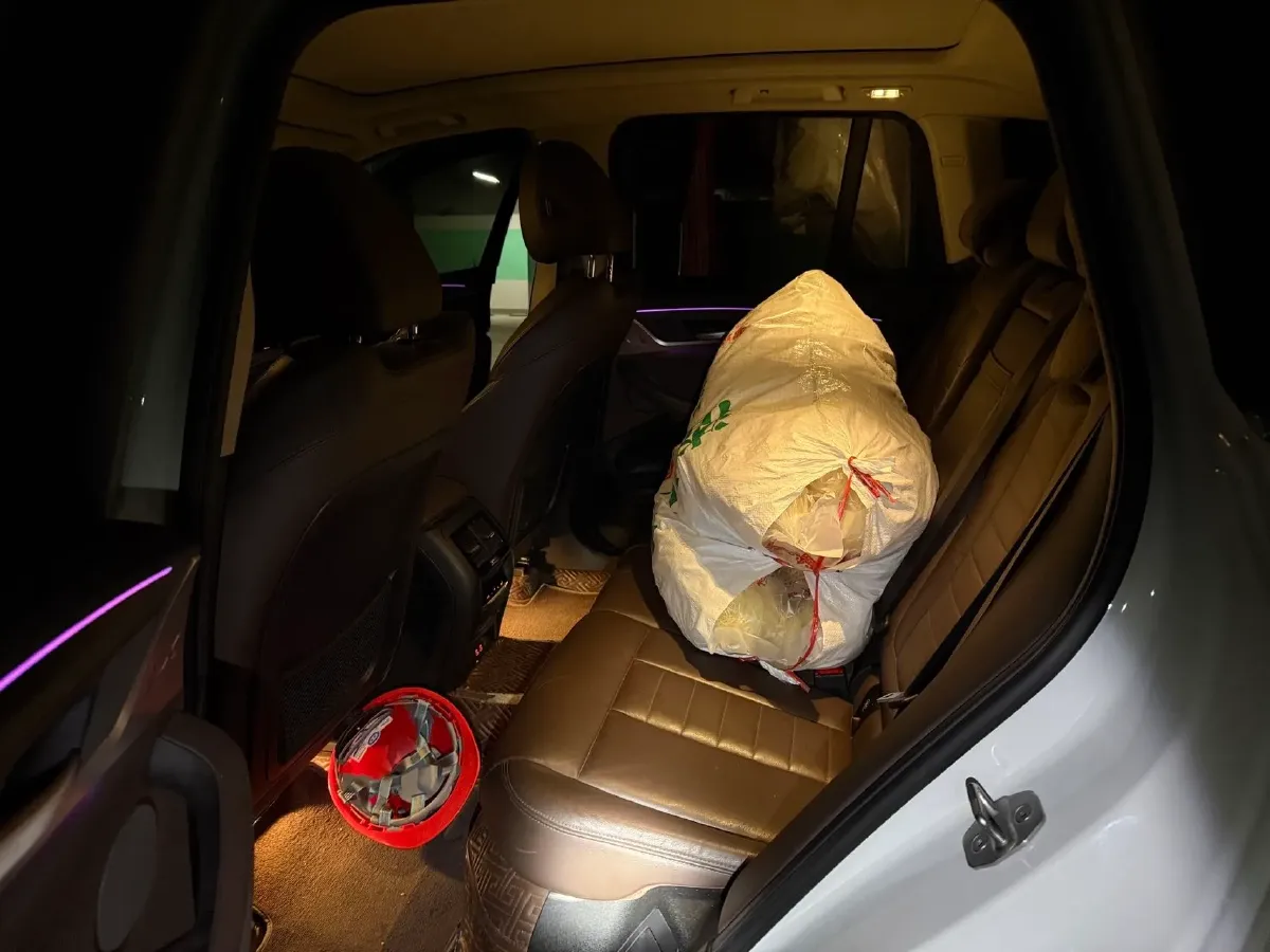 2021 BMW X3 2.0T 224HP L4 8AT,autocango,china used car exporter,china ev exporter,chinese used car exporter,chinese used ev exporter