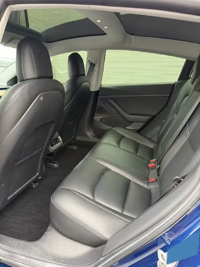 2020 Tesla Model 3 BEV 52KWH,autocango,china used car exporter,china ev exporter,chinese used car exporter,chinese used ev exporter